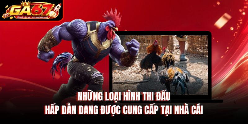 Những loại hình thi đấu hấp dẫn đang được cung cấp tại nhà cái Những loại hình thi đấu hấp dẫn đang được cung cấp tại nhà cái
