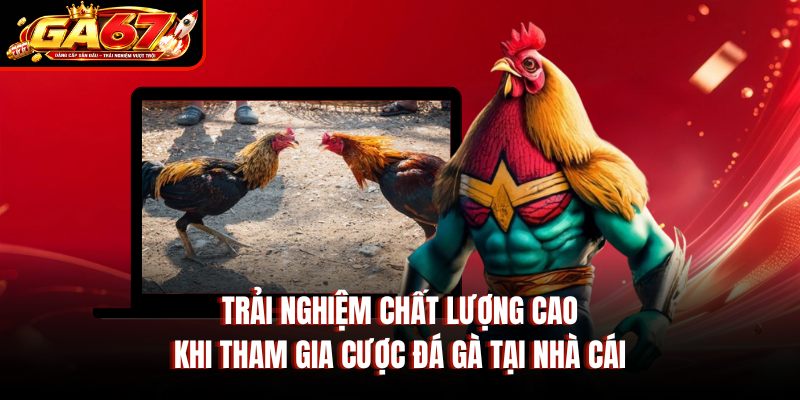 Trải nghiệm chất lượng cao khi tham gia cược đá gà tại nhà cái Trải nghiệm chất lượng cao khi tham gia cược đá gà tại nhà cái